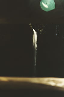 baixo, fotografia de luz, cachoeiras, corrente, vertical, cascata, montanha, floresta, caminhada, exterior, quedas, queda, agua, rio, fosco, lado de fora, ninguém, movimento, dentro de casa, noite, movimento borrado, fechar-se, Exposição longa, natureza, foco seletivo, luz - fenômeno natural, fundo preto, comida e bebida, iluminado, copie o espaço, cor branca, cor preta, 8K, CC0, domínio público, royalty free