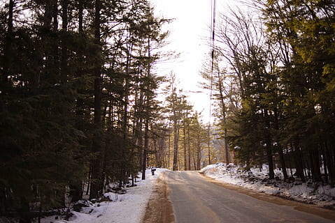 footpath between trees, green, pine, tress, beside, asphalt, road, trees, forest, nature, snow, rock, winter, cold, transmission, line, path, tree, cold temperature, weather, the way forward, no people, outdoors, plant, direction, transportation, diminishing perspective, beauty in nature, empty road, tranquility, growth, vanishing point, covering, scenics - nature, treelined, long, 5K, CC0, public domain, royalty free