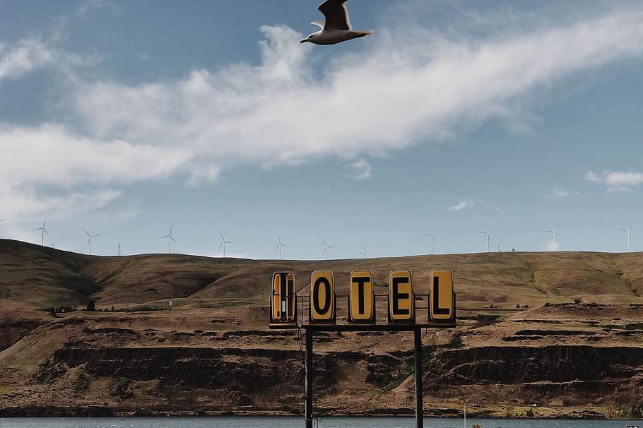 racek, létající, značení motelu, hotel signage, vedle, tělo, voda, modrý, bílý, nebe, racky, podepsat, cestovní místa, nikdo, text, sdělení, den, mrak - nebe, venku, Příroda, západní skript, přistát, přeprava, velké písmeno, scenics - příroda, krajina, silnice, architektura, životní prostředí, zvířat, 4K