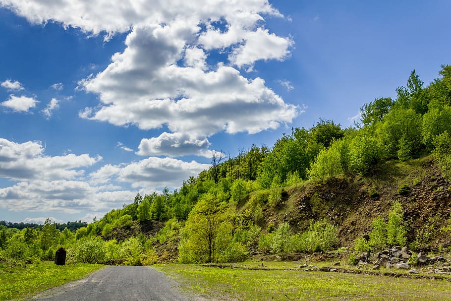 carril, paisaje, arboles, nubes, naturaleza, descanso, verano, verde, idilio, colina, reserva natural, reflejo, planta, árbol, cielo, nube - cielo, paisajes - naturaleza, ambiente, color verde, belleza en la naturaleza, la carretera, tierra, tranquilidad, transporte, nadie, bosque, escena tranquila, el camino a seguir, escena no urbana, dirección, Pino, bosque de pinos, árbol conífero, al aire libre, 5K