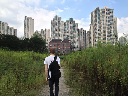 tineri, tip, student, mers, tricou, rucsac, traseu, cale, clădiri, turnuri, condos, apartamente, oraș, exteriorul clădirii, arhitectură, construită, vedere din spate, plantă, copac, oameni adevărați, o persoana, natură, cer, clădire, trei sferturi de lungime, zi, stiluri de viață, creştere, Activitatea de agrement, Culoarea verde, în aer liber, modern, exteriorul clădirii de birouri, zgârie-nori, peisaj urban, 1080P, CC0, domeniu public, fără drepturi de autor