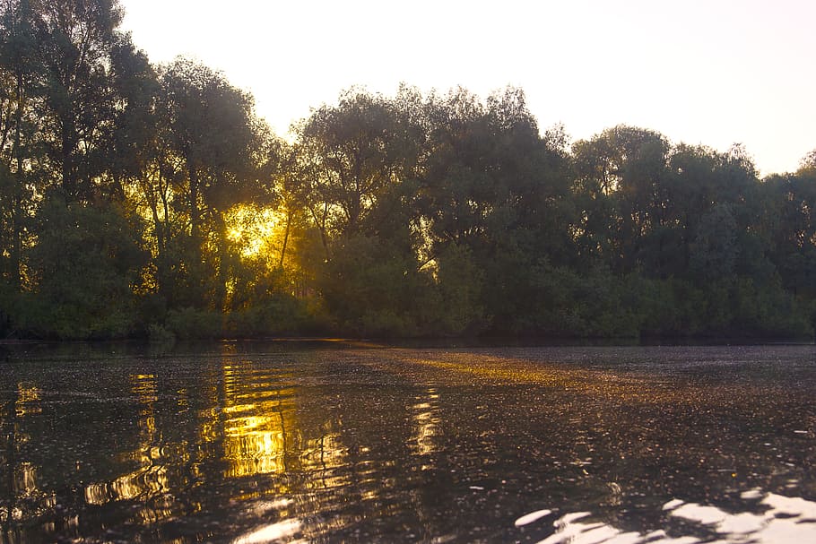 sol, naturalesa, arbre, fons, aigua, reflexió, sortida del sol, bonic, Pel matí, llac, camp, colorit, temporada, paisatge, color, silueta, posta de sol, alba, assolellat, clar, la pau, bellesa, verd, natural, llum, brillant, estiu, riu ob, siberia, planta, tranquil·litat, bellesa a la natura, escenics - natura, escena tranquil·la, cap gent, cel, dia, creixement, davant del mar, escena no urbana, idíl·lic, llum solar, a l'aire lliure, pantà, 5K