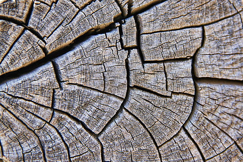 natürlich, Holz, schließen, Foto, Textur, Korn, Struktur, Hintergrund, Baumgitter, Dekoration, abstrakt, Hintergründe, Natur, Holz - Material, Muster, Nahansicht, texturiert, braun, Makro, Rau, Vollbild, geknackt, Baum, keine Leute, Tag, natürliches Muster, Pflanze, draußen, Borke, Baumring, Baumstumpf, konzentrisch, 4K, CC0, gemeinfrei, lizenzfrei
