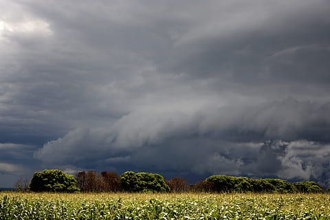 sol, lentäminen, myrsky, sadepilvet, pilviä, pilvi, auringonpaiste, taivas, kaunis, pilvet auringossa, ala, maatalous, pilvi - taivas, maisema, maaseudulla, maatila, kasvi, kauneus luonnossa, maa, ympäristö, puu, maisemat - luonto, luonto, myrskypilvi, tyyneys, rauhallinen kohtaus, ei ihmisiä, ukonilma, kasvu, pilvinen, ulkona, pahaenteinen, sade, voimaa luonnossa, 5K, CC0, public domain, rojaltivapaa