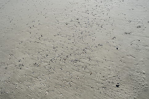 sand, skaller, muslingeskaller, ocean city, jersey shore, strand, ocean, atlantic, hav, struktur, baggrund, fuld ramme, jord, baggrunde, ingen mennesker, fodspor, dag, høj vinkel visning, mønster, natur, vand, ro, tekstureret, udendørs, våd, spor - aftryk, Print, skønhed i naturen, rolig scene, 1080P, CC0, offentligt domæne, royaltyfrie