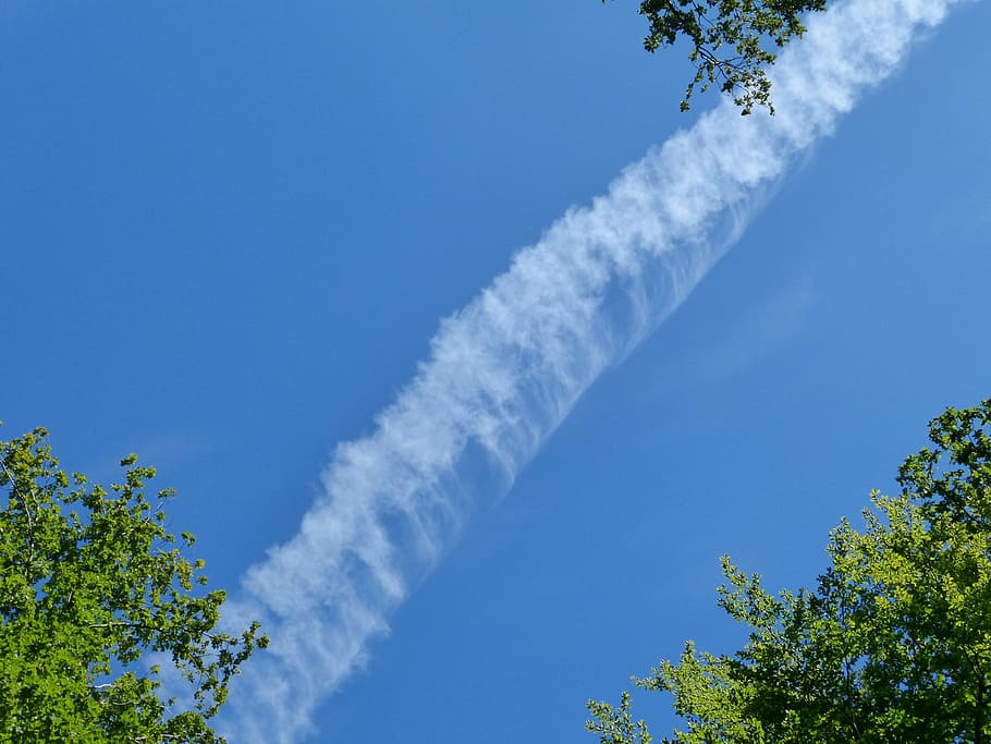 cel, núvols, contrail, avions, blau, arbre, naturalesa, dia, a l'aire lliure, planta, núvol - cel, vista d’angle baix, cap gent, assolellat, fum - estructura física, vehicle aeri, Color blanc, còpia espai, pista de vapor, avió, moviment, creixement, contaminació de l'aire, directament a sota, Pol · lució, acrobàcies aèries, 4K