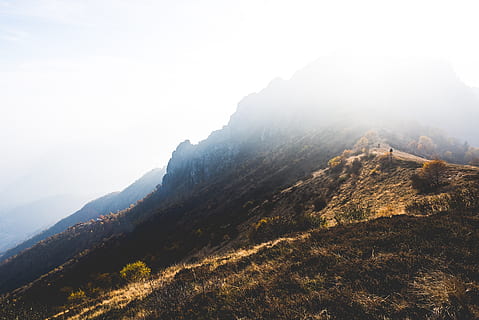 foto di paesaggio, montagna, giorno, dolci colline, montagna Verde, nebbia, fotografia, collina, erba, albero, luce del sole, natura, paesaggio, Paesaggi, picco di montagna, all'aperto, catena montuosa, cielo, foresta, bellezza nella natura, scenics - natura, la tranquillità, scena tranquilla, ambiente, nessuno, scena non urbana, pianta, terra, idilliaco, 5K, CC0, dominio pubblico, privo di copyright
