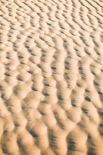 brown sand, sand, beach, waves, nature, outdoor, desert, sand Dune, pattern, backgrounds, full frame, no people, close-up, textured, textile, animal, animal themes, natural pattern, selective focus, softness, wool, animal wildlife, extreme close-up, fur, indoors, design, animal skin, one animal, warm clothing, 5K, CC0, public domain, royalty free