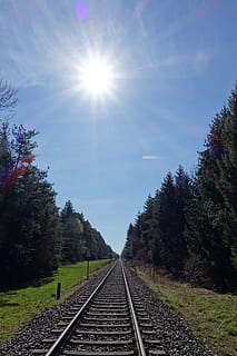 sole, cielo blu, raggi, binario, cielo, blu, traccia, ferrovia, mezzi di trasporto, trasporto ferroviario, luce del sole, riflesso lente, pianta, albero, la strada davanti, natura, direzione, giorno, nessuno, bellezza nella natura, prospettiva decrescente, soleggiato, crescita, punto di fuga, all'aperto, luminosa, lungo, parallelo, 5K, CC0, dominio pubblico, privo di copyright
