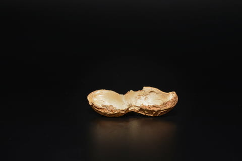 Erdnuss, in Hälften schneiden, leeren, halbierte Erdnussschale, Erdnussschale, leere Erdnuss, schließen, schwarzer Hintergrund, Studioaufnahme, Essen und Trinken, Lebensmittel, kopieren sie platz, drinnen, Stillleben, keine Leute, Nahansicht, ausgeschnitten, zwei Objekte, positive Emotionen, einzelnes Objekt, Frische, Liebe, Emotion, Gemüse, Süßes Essen, Versuchung, braun, Luxus, Snack, 2K, CC0, gemeinfrei, lizenzfrei