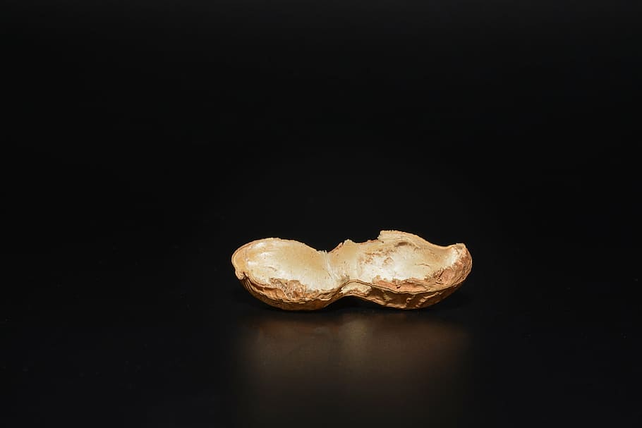 arašíd, rozpůlit, prázdný, rozpůlené arašídové skořápky, arašídové skořápky, prázdný arašíd, zavřít, černé pozadí, studio shot, jídlo a pití, jídlo, kopie prostor, uvnitř, stálý život, nikdo, detail, vystříhnout, dva objekty, pozitivní emoce, jeden objekt, svěžest, milovat, emoce, zeleniny, sladké jídlo, pokušení, hnědý, luxus, Svačina, 2K