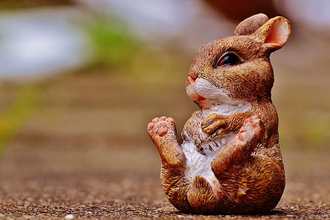 selectiu, fotografia de focus, marró, conill, felpa, joguina, llebre, conill de Pasqua, Pasqua, bonic, figura, tema de pasqua, dolç, decoració, primavera, animal, naturalesa, mamífer, un animal, fauna animal, cap gent, centrar-se en primer pla, dia, animals a la natura, vertebrats, a l'aire lliure, representació, primer pla, rosegador, brutícia, part del cos dels animals, 5K, CC0, domini públic, lliure de regalies