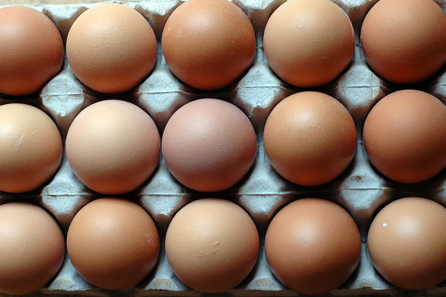ous marrons, ous, files, patrons, nutrició, en fila, gran grup d'objectes, ou, menjar i beguda, menjar, benestar, arranjament, marc complet, alimentació saludable, frescor, ordre, cartró d'ous, aliments crus, fons, cap gent, vulnerabilitat, abundància, a l'interior, fragilitat, marró, Caixa de cartró, 2K