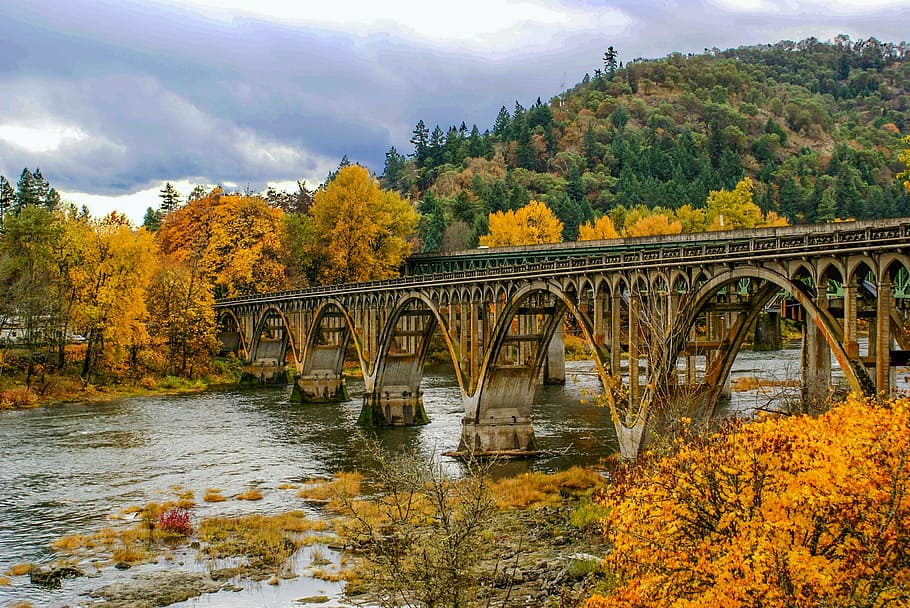 fotografia de paisatge, marró, pont, caure, riu, fulles, tardor, arbres caiguts, groc, taronja, oregon, naturalesa, pont - estructura feta per l'home, arbre, a l'aire lliure, bosc, connexió, aigua, planta, estructura construïda, arquitectura, transport, canvi, bellesa a la natura, arc, cel, escenics - natura, núvol - cel, dia, cap gent, pont d’arc, aigua que flueix, col·lecció de tardor, 2K