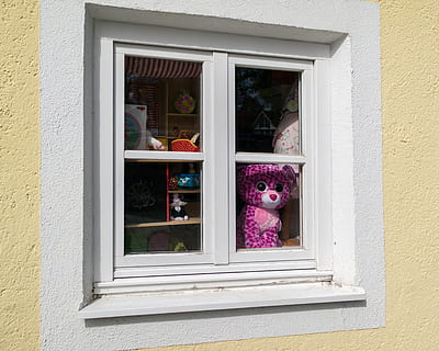 finestra, Bambola, googley bear, serramenti, hauswand, giocattoli, giocattoli per bambini, architettura, Casa, facciata, esterno dell'edificio, vetro - materiale, struttura costruita, giorno, trasparente, nessuno, costruzione, all'aperto, pianta fiorita, Aperto, fiore, davanzale, Al dettaglio, memorizzare, scelta, quartiere residenziale, riflessione, viola, esposizione al dettaglio, telaio della finestra, 4K, CC0, dominio pubblico, privo di copyright
