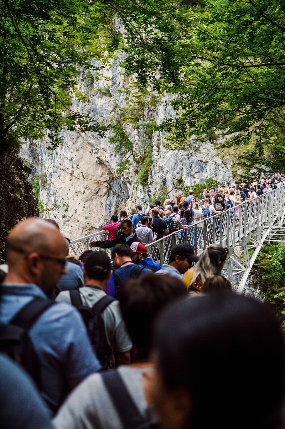 gent, de peu, pont, arbres, penya-segat, muntanya, multitud, turista, tanca, home, dona, masculí, femella, arbre, fulles, vista, castell de neuschwanstein, europa, persones reals, grup de persones, planta, homes, gran grup de persones, nacional, mamífer, animals domèstics, estils de vida, dones, mascotes, dia, activitat d'oci, naturalesa, adult, a l'aire lliure, 5K