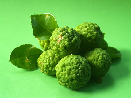 bergamota, Fruta, hoja, aislado, Tailandia, áspero, limón, natural, tropical, verde, herbario, orgánico, Lima, agrios, Asia, vegetal, tailandés, pelo, cocina, kaffir, hierba, ingrediente, antiguo, Fresco, comida, asiático, crudo, frescura, naturaleza, color verde, comida y bebida, alimentación saludable, bienestar, fondo de color, foto de estudio, de cerca, nadie, naturaleza muerta, adentro, fondo verde, mesa, centrarse en primer plano, grupo de objetos, dieta, tentación, 2K, CC0, dominio público, libre de derechos