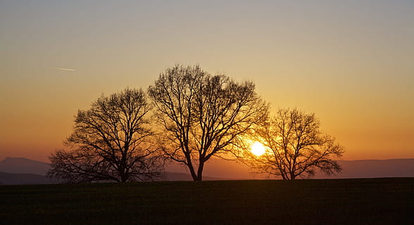 puesta de sol, arboles, luz de fondo, Abendstimmung, noche, contraste, cielo, árbol, planta, belleza en la naturaleza, silueta, Dom, tranquilidad, escena tranquila, naturaleza, árbol desnudo, ambiente, paisajes - naturaleza, paisaje, campo, tierra, oscuridad, color naranja, nadie, al aire libre, cielo romantico, 2K, CC0, dominio público, libre de derechos
