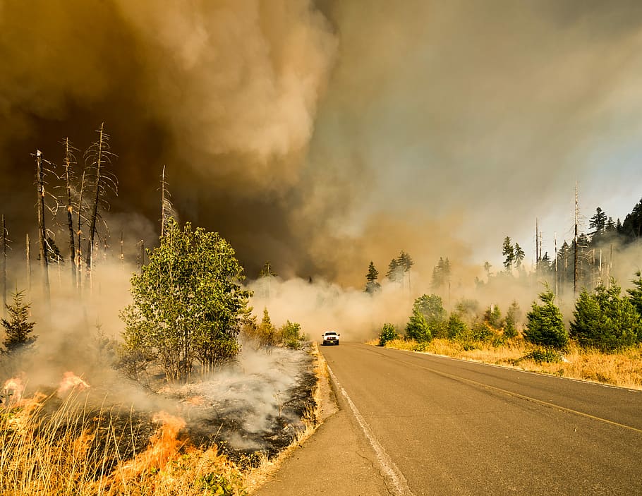 foc Jon, gris, fum, carretera, incendis forestals, arbre, bosc, foc, transport, núvol - cel, planta, cel, naturalesa, manera de transport, bellesa a la natura, cap gent, tempesta, medi ambient, direcció, cotxe, automòbil, el camí a seguir, boira, escenics - natura, escena no urbana, a l'aire lliure, pluja, 4K