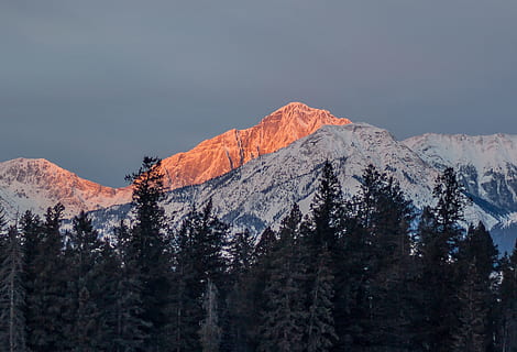 landskabsfotografering, bjerg, belagt, sne, dækket, omgivet, træer, solnedgang, canadiske rockies, fyrretræ, Snowcap, himmel, natur, vinter, landskab, scenics, bjergkæde, udendørs, Skov, træ, bjergtop, skønhed i naturen, ingen mennesker, farvebillede, scenics - natur, plante, kold temperatur, rolig scene, ro, miljø, snedækket bjerg, jord, ikke-urbane scene, nåletræ, fyrreskov, 1080P, CC0, offentligt domæne, royaltyfrie