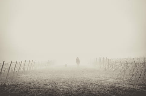 rue brumeuse, brumeux, rue, hiver, la nature, brouillard, en plein air, paysage, neige, scène rurale, froid - température, arbre, scène non urbaine, noir et blanc, clôture, champ, ciel, tranquillité, terre, vue arrière, plante, journée, en marchant, Vrais gens, toute la longueur, environnement, herbe, scène tranquille, personnes, Hommes, deux personnes, 4K, CC0, domaine public, libre de droits