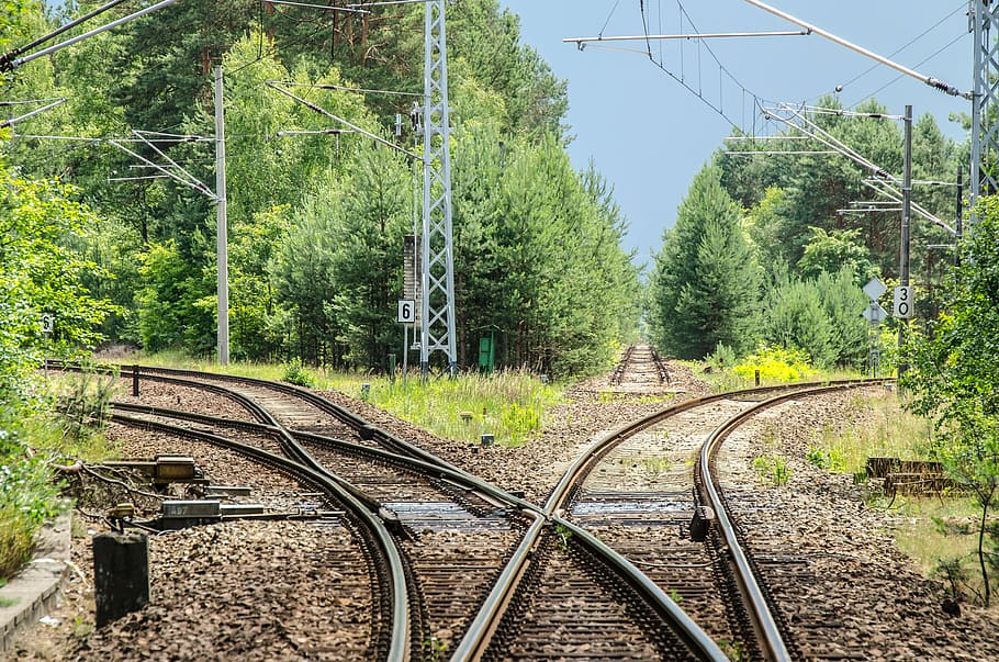 grå, jernbane jernbane, Skov, dagtimerne, jernbane, teknologi, tog, syntes, jernbanetrafik, Gleise, metal, transportere, udbytte, Grænseværdi, øvre linjer, Trafik, spor, nuværende, jernbanespor, jernbaner, underkonstruktion, split vej, begge veje, jernbanetransport, transportmidler, tog - køretøj, kabel, fokus på forgrunden, ingen mennesker, træ, dag, offentlig transport, spore, plante, forbindelse, vækst, natur, elektricitet, transportform, grøn farve, jord, strømkabel, el-pylon, Strømforsyning, udendørs, kompleksitet, 4K