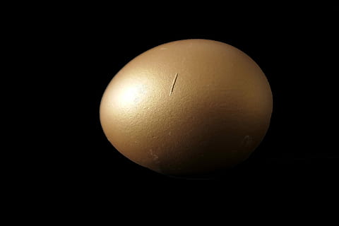 egg, easter egg, protein, yolk, golden egg, food, breakfast, hen's egg, boiled egg, delicious, egg yolk, eggshell, ovoid, black background, single object, animal egg, studio shot, food and drink, no people, close-up, indoors, copy space, nature, cut out, raw food, fragility, vulnerability, white color, shell, freshness, new life, 5K, CC0, public domain, royalty free