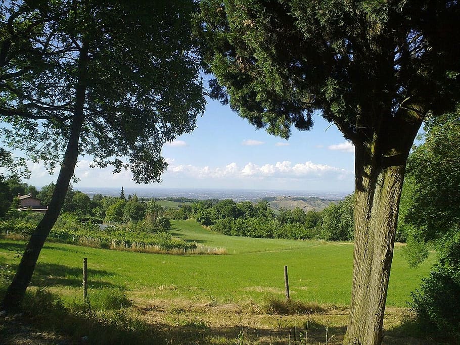 rocca, hinking, castell, vista, planta, arbre, escena tranquil·la, terra, color verd, bellesa a la natura, tranquil·litat, creixement, paisatge, herba, escenics - natura, cel, camp, medi ambient, naturalesa, dia, cap gent, núvol - cel, escena no urbana, idíl·lic, a l'aire lliure, 1080P