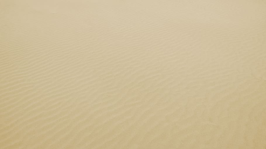 uccello, vista dell'occhio, deserto, Marrone, sabbia del deserto, giorno, modello, strutturato, sabbia, ondulazione, Gran Bretagna, UK, Regno Unito, wale, vento, grano, bicchiere, geografia, paesaggio, tropicale, sfondi, nessuno, fotogramma intero, copia spazio, terra, natura, acqua, girato in studio, avvicinamento, caratteristica della parete, carta, Materiale, spiaggia, mare, astratto, 4K