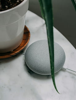 tiza, google, casa, mini, altavoz, planta, maceta, blanco, superficie, tiza google home mini, inteligente, mesa, ai, tecnología, asistente, mármol, áloe, interior, hola google, mínimo, información, puesta en marcha, diseño, decoración, pregunta, buscar, comida y bebida, adentro, de cerca, nadie, naturaleza muerta, vajilla, vaso, equipo doméstico, beber, utensilio de cocina, jarra, vista de alto ángulo, parte de la planta, hoja, centrarse en primer plano, frescura, el color blanco, refresco, platillo, taza de te, 4K, CC0, dominio público, libre de derechos