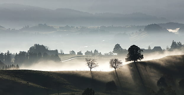 panorama, fotografering, tåke skog, landskapsfotografering, fjell, tåkete, dag, trær, dagtid, tre, Sky, tåke, møne, natur, landskap, scenics, landlige scene, Val d'Orcia, italiensk cypress, høyde, utendørs, himmel, skjønnhet i naturen, cypress tree, ikke-urbane scene, ro, rolig scene, miljø, anlegg, naturskjønnhet - natur, land, sol, morgen, sollys, soloppgang - daggry, soloppgang, skumring, sky - himmel, ingen folk, smog, nåletre, 2K, CC0, offentlig domene, opphavsrett gratis