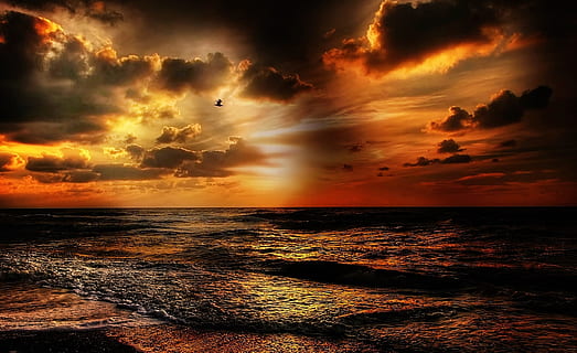 Foto, hav, gylden, time, strand, foran, solnedgang, sol, Danmark, sommer, natur, landskab, vand, humør, bølge, aften, guld, solstråle, himmel, skyer, Abendstimmung, kyst, efterglød, sommerferie, romantik, Nordsøen, skandinavien, ferie, smukke strande, surf, sand, sø, strand vand, smuk, helligdage, horisont, romantisk, ocean, hvile, ved havet, atmosfærisk, rejse, aftenhimmel, kystlandskab, idyl, sollys, atmosfære, ensomhed, ensom, skyformationer, bred, cloudformation, lichtspiel, sandstrand, belysning, panorama, fritid, vejrstemning, sky - himmel, skumring, cloudscape, scenics, orange farve, udendørs, horisont over vand, skønhed i naturen, dramatisk himmel, ingen mennesker, farvebillede, kystlinje, rolig scene, marinemaleri, scenics - natur, ro, idyllisk, jord, 2K