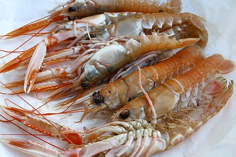 langoustine, shellfish, seafood, delicious, dish, cuisine, food and drink, food, freshness, healthy eating, wellbeing, no people, close-up, raw food, fish, crustacean, shrimp - seafood, high angle view, indoors, animal, still life, prawn, vertebrate, plate, cold temperature, 1080P, CC0, public domain, royalty free