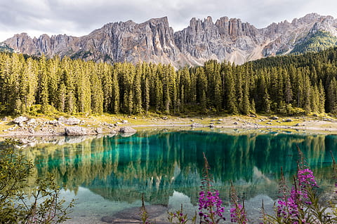 fotografia speculare, montagna, alberi, corpo, acqua, calma, circondato, verde, alberi di pino, lago, riflessione, albero, foresta, bosco, riva, fiore, roccia, paesaggio, rilassare, pace, vegetazione, legna, unsplash, bellezza nella natura, scenics - natura, pianta, la tranquillità, scena tranquilla, catena montuosa, natura, scena non urbana, nuvola - cielo, cielo, idilliaco, nessuno, Pino, all'aperto, albero di conifere, bosco di pini, formazione, 5K, CC0, dominio pubblico, privo di copyright