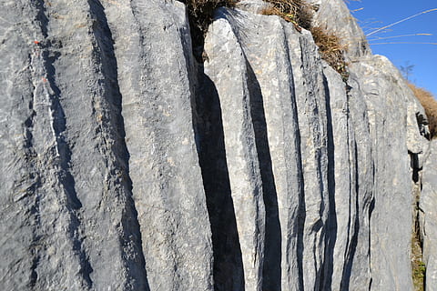 rock, stone, water, gutter, nature, time, granite, tree trunk, trunk, day, no people, close-up, tree, outdoors, plant, pattern, textured, wood - material, backgrounds, sunlight, in a row, safety, beauty in nature, plant bark, natural pattern, animal, 4K, CC0, public domain, royalty free