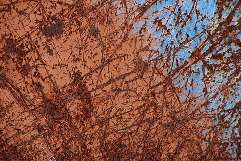 resum, model, arbre, vell, llac dusia, textura, òxid, blau, línies, metall, planta, cap gent, branca, fons, naturalesa, dia, marc complet, tardor, vista d’angle baix, patró, a l'aire lliure, bellesa a la natura, cel, marró, color taronja, primer pla, creixement, copa de l'arbre, 4K, CC0, domini públic, lliure de regalies