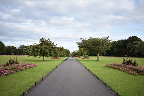 horitzó, perspectiva, simmetria, paisatge, disseny, panorama, jardí, dublin, planta, direcció, núvol - cel, cel, el camí a seguir, perspectiva decreixent, arbre, naturalesa, bellesa a la natura, herba, creixement, color verd, flor, planta amb flors, punt de fuga, sendera, dia, parc, carretera, transport, cap gent, a l'aire lliure, treelined, camí de jardí, cobertura, llit de flors, jardí ornamental, 5K, CC0, domini públic, lliure de regalies