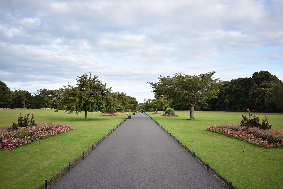 horitzó, perspectiva, simmetria, paisatge, disseny, panorama, jardí, dublin, planta, direcció, núvol - cel, cel, el camí a seguir, perspectiva decreixent, arbre, naturalesa, bellesa a la natura, herba, creixement, color verd, flor, planta amb flors, punt de fuga, sendera, dia, parc, carretera, transport, cap gent, a l'aire lliure, treelined, camí de jardí, cobertura, llit de flors, jardí ornamental, 5K