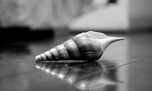 coajă, tăcut, chestia, a închide, în interior, partea corpului uman, umană, mână, oameni, reflecţie, selectiv, masa, deget, degetul uman, parte a corpului, adult, să se concentreze asupra primelor elemente, arta culturii și divertismentului, sportiv, sănătate și medicină, bărbați, agresiune, 4K, CC0, domeniu public, fără drepturi de autor