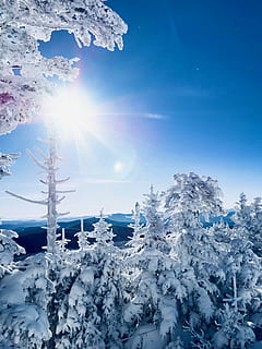 superiore, mondo, alberi coperti di neve, albero, la neve, inverno, blu, cielo, temperatura fredda, luce del sole, bellezza nella natura, congelato, raggio di sole, sole, riflesso lente, la tranquillità, scena tranquilla, natura, giorno, scenics - natura, Colore bianco, pianta, nessuno, ghiaccio, all'aperto, luminosa, montagna innevata, 4K, CC0, dominio pubblico, privo di copyright