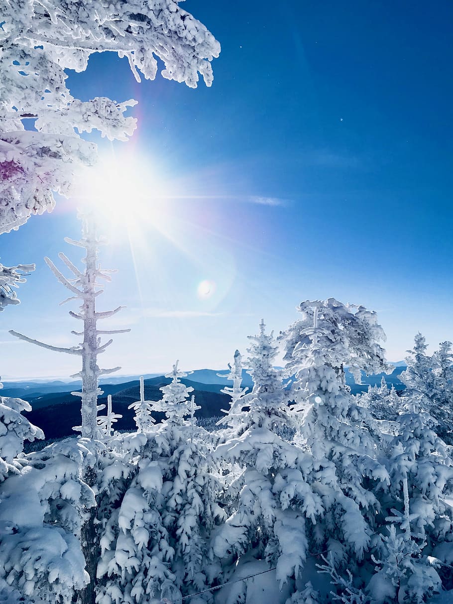 superiore, mondo, alberi coperti di neve, albero, la neve, inverno, blu, cielo, temperatura fredda, luce del sole, bellezza nella natura, congelato, raggio di sole, sole, riflesso lente, la tranquillità, scena tranquilla, natura, giorno, scenics - natura, Colore bianco, pianta, nessuno, ghiaccio, all'aperto, luminosa, montagna innevata, 4K