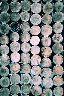 braun, Holz-Log lot, braune Holzscheite, wer hat gesagt, Stadtstraßen, Sei schön, Log, Holz, Wein, Alkohol, Hintergründe, Vollbild, große gruppe von gegenständen, Bauholz, keine Leute, Muster, Fülle, Holz - Material, Tag, texturiert, draußen, Stapel, Natur, Holzindustrie, direkt darüber, Abholzung, Wiederholung, gestalten, 4K, CC0, gemeinfrei, lizenzfrei