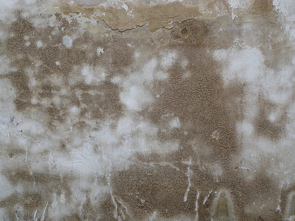 Textur, Wand, grunge, Gips, abgebrochen, verwittert, Hintergrund, alte Mauer, grau, schmutzig, Hintergründe, texturiert, abstrakt, Vollbild, Struktureffekt, keine Leute, Muster, Wandbau - Funktion, Nahansicht, die Architektur, Kunst und Handwerk, gebaute Struktur, draußen, Farbe, abstrakte Hintergründe, alt, Natur, Rau, Tag, Wasser, 2K, CC0, gemeinfrei, lizenzfrei