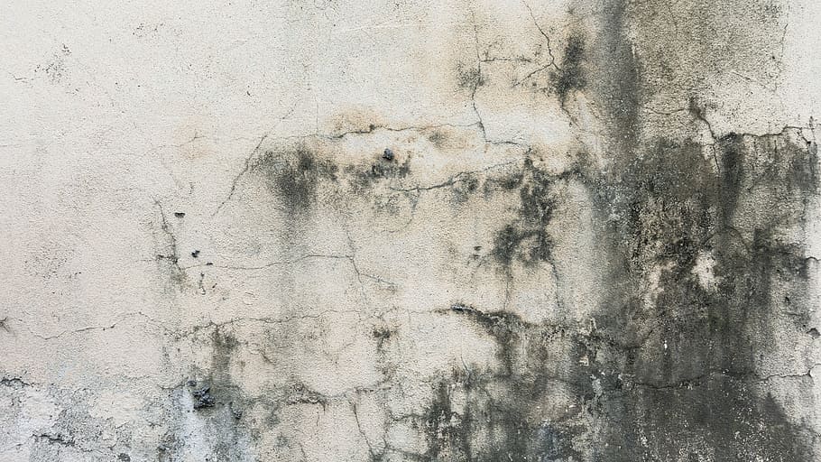 muro dipinto di grigio, grigio, dipinto, parete, struttura, sfondo, crepa, Linee, grunge, design, strato, intemperie, macchiato, grungy, ruvido, sporco, superficie, sfondo strutturato, sfondi e trame, sfondi, astratto, strutturato, modello, caratteristica della parete, vecchio, Materiale, calcestruzzo, cemento, nessuno, fotogramma intero, giorno, architettura, avvicinamento, struttura costruita, screpolato, danneggiato, all'aperto, sfondi astratti, effetto strutturato, sbavato, 5K