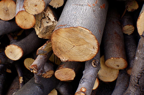 lumbering, natural, devastating, log, timber, wood, lumber industry, wood - material, tree, firewood, forest, deforestation, stack, full frame, backgrounds, large group of objects, fuel and power generation, abundance, environmental issues, close-up, no people, brown, nature, outdoors, woodpile, 4K, CC0, public domain, royalty free