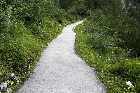 pad, groen, natuur, Bos, landschap, buitenshuis, lopen, natuurlijk, reizen, park, wandelen, niemand, berg-, avontuur, weg, fabriek, groene kleur, groei, richting, boom, gras, de weg vooruit, schoonheid in de natuur, voetpad, vervoer, dag, kalmte, geen mensen, land-, perspectief verminderen, rustige scène, lang, 5K, CC0, publiek domein, royaltyvrij