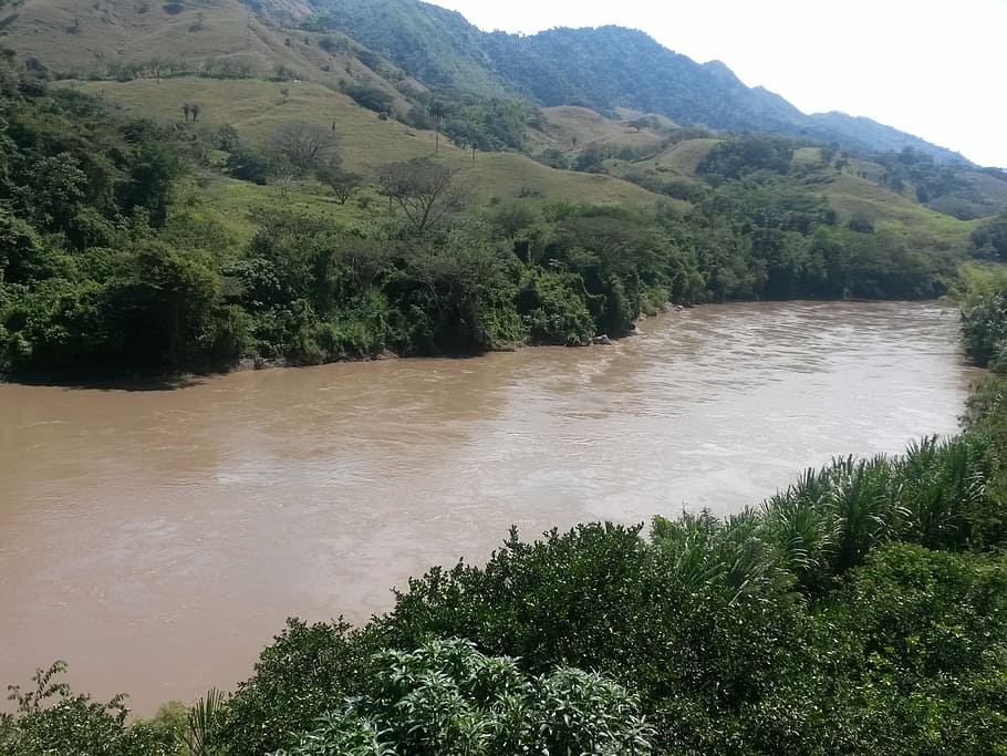 riu cauca, arbres, paisatge, riu, aigua, naturalesa, paisatges, Riba, vegetals, arbre, ecologia, sol, horitzó, colombia, cap gent, escenics, bosc, bellesa a la natura, planta, escenics - natura, muntanya, tranquil·litat, escena tranquil·la, color verd, terra, escena no urbana, creixement, idíl·lic, medi ambient, dia, cel, a l'aire lliure, aigua que flueix, poder a la natura, 2K