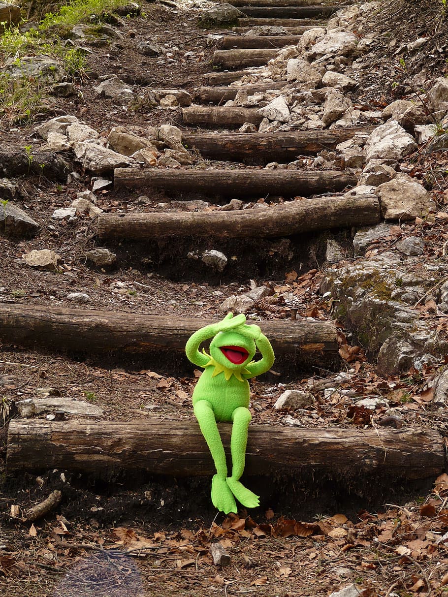 acoperit, ochi, maro, Buturuga, Kermit, broască, sta, scară, treptat, orb, nu vezi nimic, verde, figura, păpuşă, spectacol muppet, strada Sesame, Jim Henson, Culoarea verde, vegetal, zi, nici o persoana, natură, creştere, vedere în unghi mare, camp, teren, reprezentare, plantă, în aer liber, jucărie, lemn - material, reprezentarea animalelor, animal, lungime totală, frumusețe în natură, animale tematice, 2K