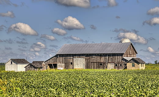 stodola, rustikální, stodoly, Ohio, digitální umění, venkovský, scénický, země, venkov, scenérie, kůlny, hospodařit, zemědělských podniků, zemědělství, zemědělský, statek, champaign, hrabství, americana, fotografie, struktura, struktur, sturgell, william sturgell, Bill Sturgell, historický, domovní dekorace, budov, mraky, nebe, strom, stromy, zataženo, plevele, champaign county, urbana, stavba, architektura, exteriér budovy, rostlina, přistát, pole, venkovské scény, mrak - nebe, krajina, Příroda, růst, Dům, den, budova, zelená barva, nikdo, oříznutí, venku, 4K, CC0, veřejná doména, bez autorských práv