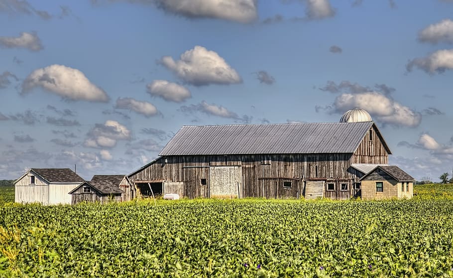 graner, rústic, graners, ohio, art digital, rural, escènic, país, camp, paisatge, cobert, coberts, granja, granges, agricultura, agrícola, Masia, campanar, comtat, americana, foto, fotografia, estructura, estructures, sturgell, William Sturgell, factura sturgell, històric, decoració de la llar, edificis, núvols, cel, arbre, arbres, ennuvolat, cels, males herbes, comtat del campanar, urbana, estructura construïda, arquitectura, exterior de l'edifici, planta, terra, escena rural, núvol - cel, naturalesa, creixement, casa, dia, edifici, color verd, cap gent, cultiu, a l'aire lliure, 4K